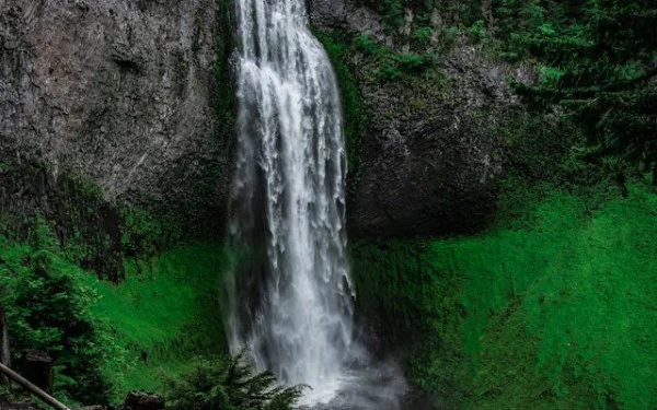 Rethinking Waterfall: Its Quiet Persistence in Modern Software Development