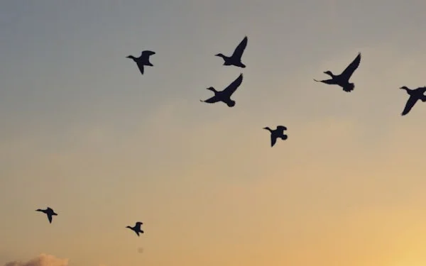 Integrating Zero-Trust Principles in Cloud Migration Projects