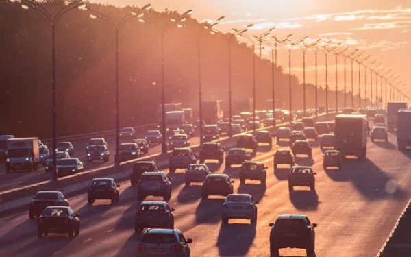 Enhancing Security and Efficiency in Goose AI Traffic Management