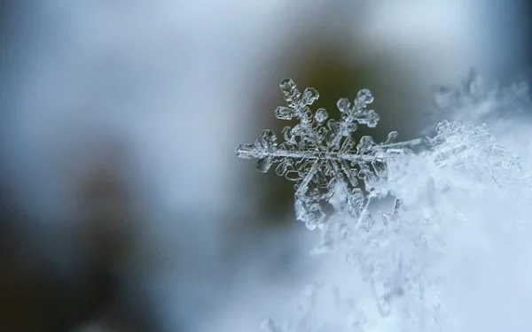 Databricks and Snowflake Embrace Kafka Protocol for Enhanced Data Ingestion
